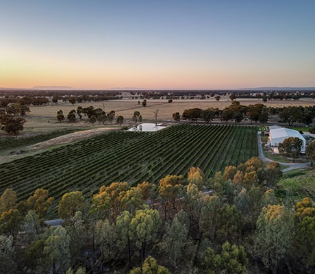 Discover The Murray River's Mighty (good) Food Trail