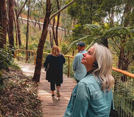 Wildlife Wonders Walkway, Apollo Bay, VIC