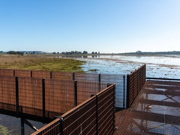Budj Bim wetlands