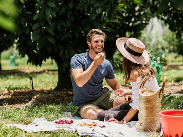 Cherry Hill Orchards BYO Picnic