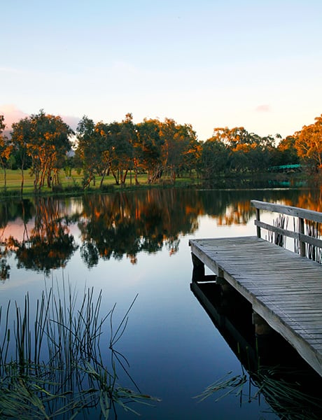 Dunkeld Arboretum, Grampians, VIC