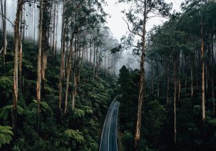 Black spur drive moody