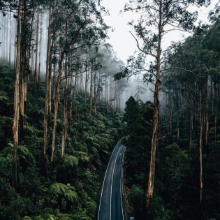 Black spur drive moody