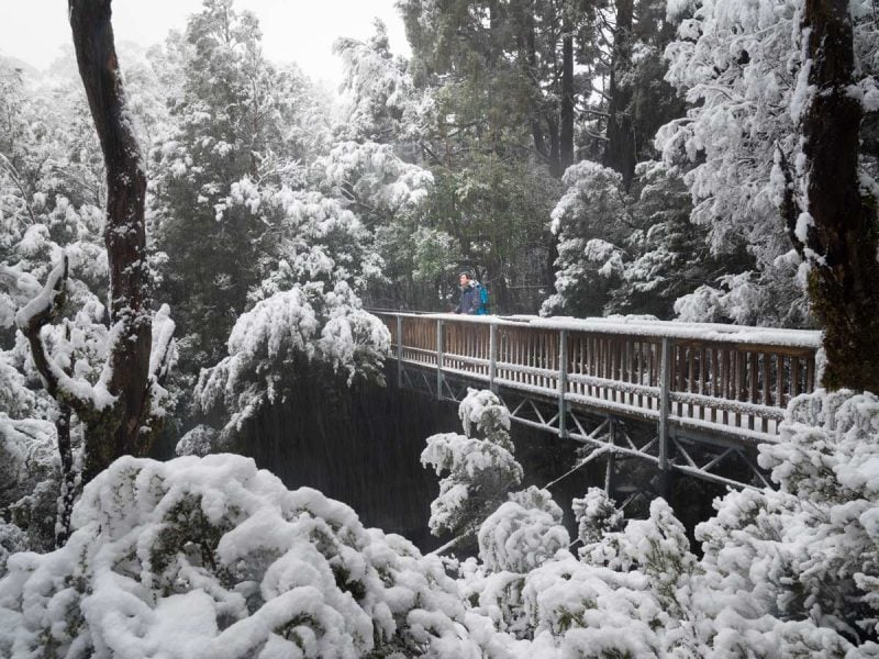 The snow-covered Enchanted Walk. (Image: Paul Fleming)