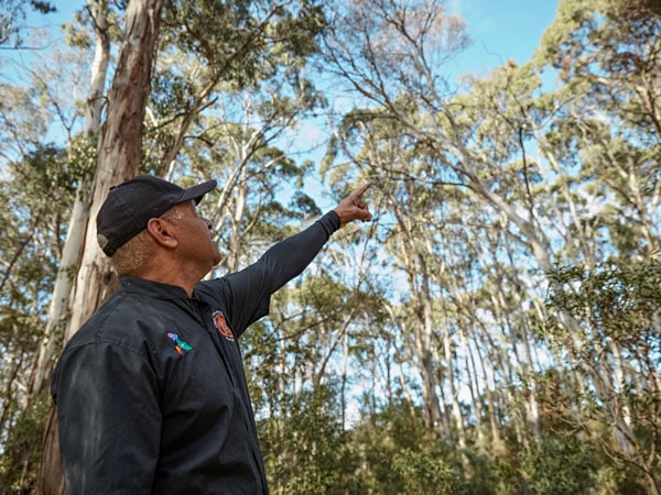 Gerald Power, Owner and Founder of Indigenous CulturalAdventures in Orange