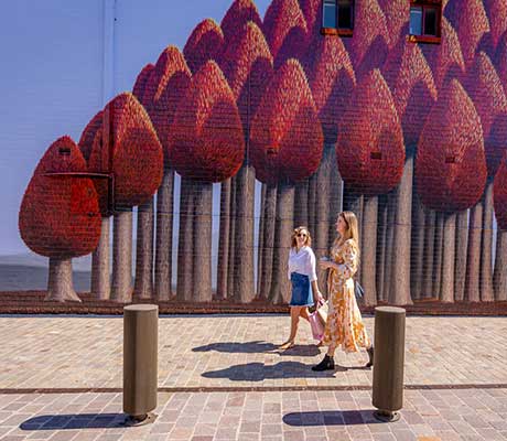 The New One, Maitland Regional Art Gallery, NSW