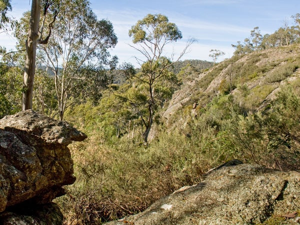 the scenic landscape at Mt Canobolas