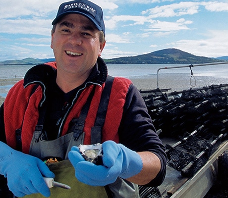 Barilla Bay oyster farm, Tasmania