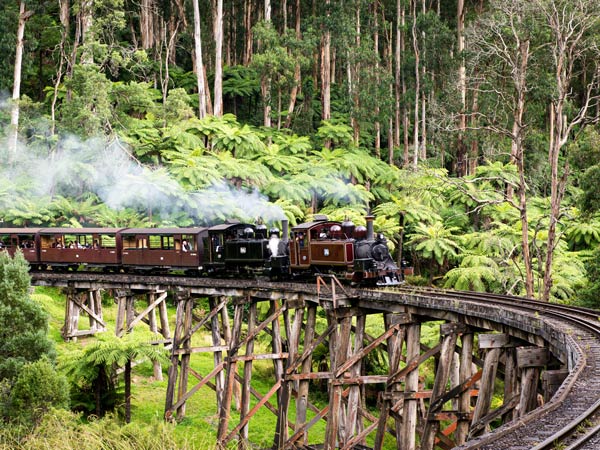 A train on rails in nature.