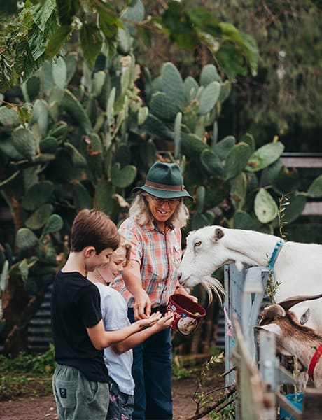 Purple Pear Farm, Maitland, NSW