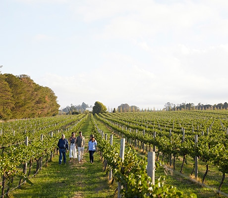 Rowlee Wines, Nashdale, Orange