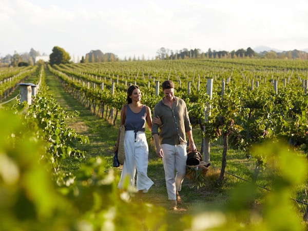 a couple walking around Rowlee Wines