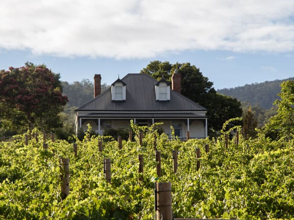 Kate Hill Wines, Huon Valley.