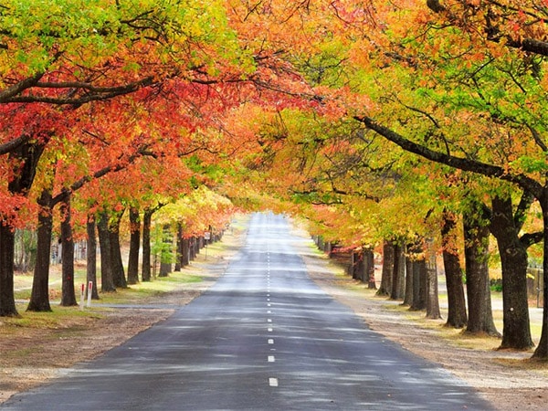 Woodend Mt Macedon