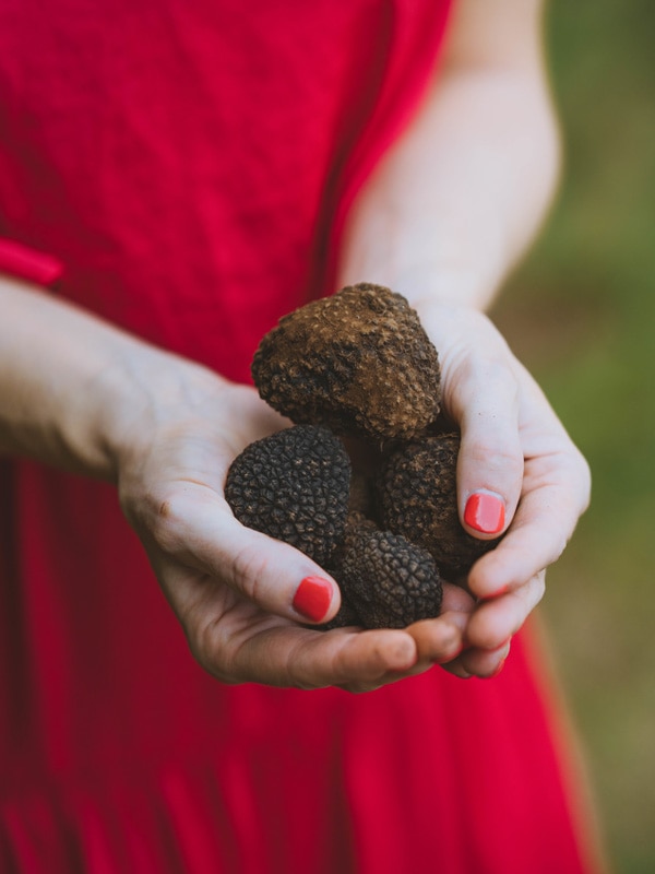 A woman holding some Tasmanian black truffles. (Image: Jamie Roberts)