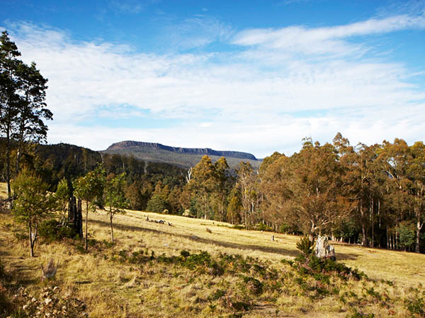 Central Highlands Tasmania