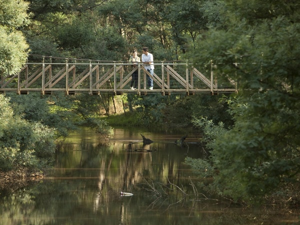 Two people standing on a bridge above a river and between trees.