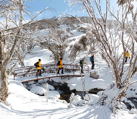 Thredbo backcountry tour