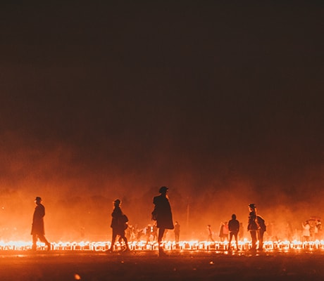 Dark MOFO, Tasmania