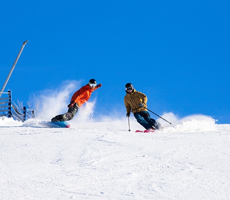 Skiers on Thredbo mountain