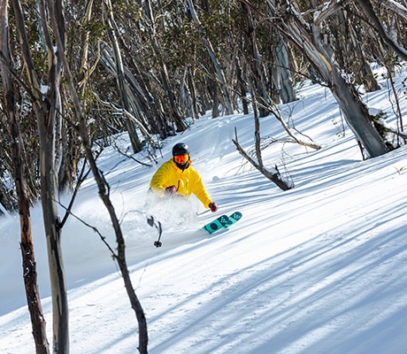 Skier on the slopes, Thredbo