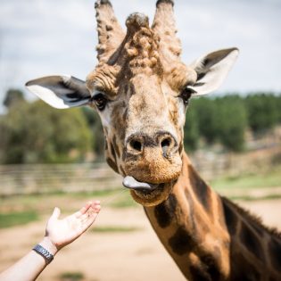 National Zoo & Aquarium, Canberra, ACT
