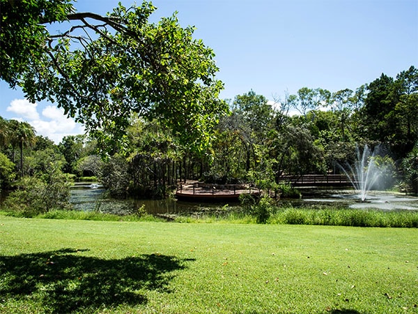 Botanic Garden hervey bay