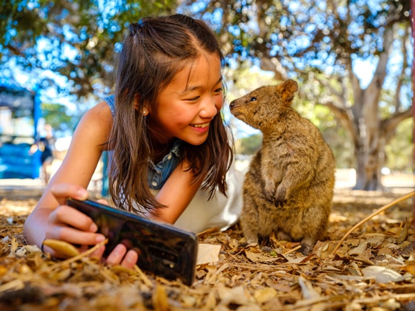 Take a quokka selfie