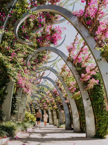 The pretty South Bank Parklands.