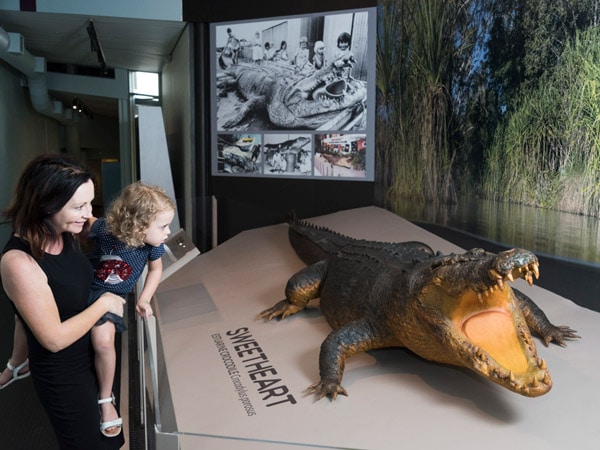 Museum and Art Gallery of the Northern Territory