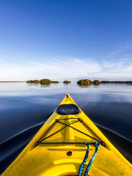 Adventure Kayaking SA's Dolphin Sanctuary