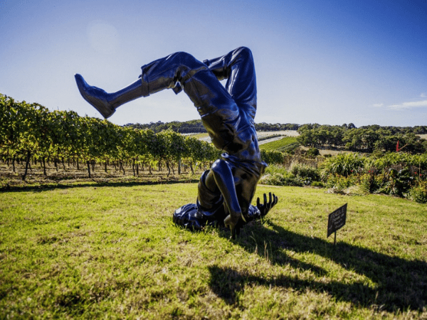 Montalto Wines