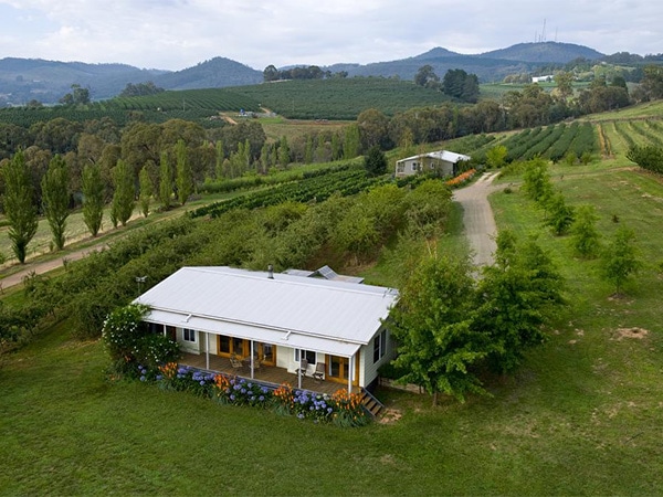 Orange accommodation