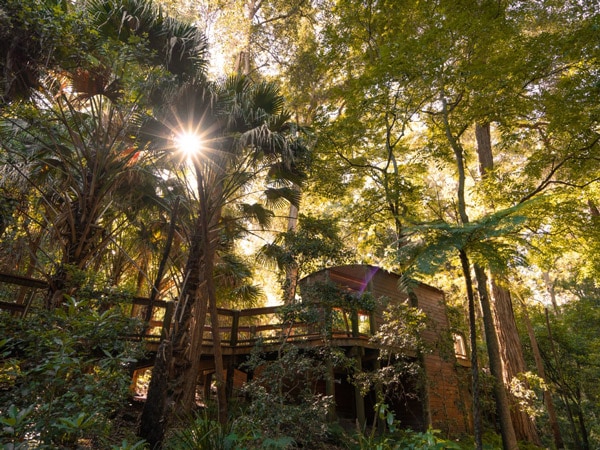 Blackbutt Reserve with kids