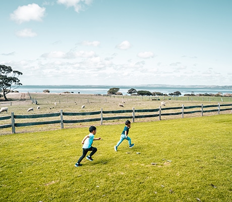 Churchill Island, Phillip Island