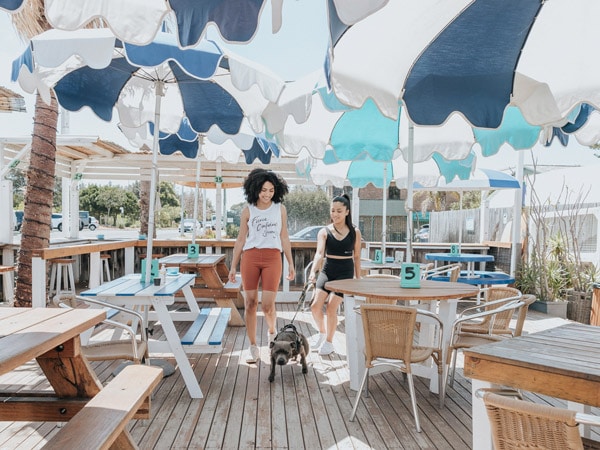 two women with a dog on the al fresco dining setup of Cook at Kurnell