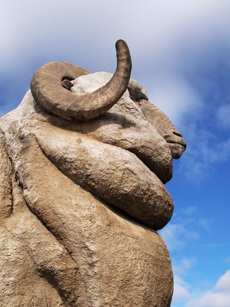 Spot the iconic Big Merino in Goulburn.