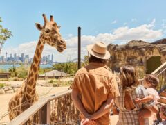 The ultimate Sydney itinerary for families