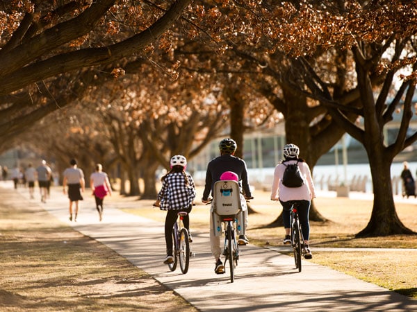 Lake Burley Griffin Canberra
