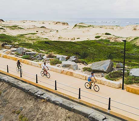 Nobbys Beach Newcastle Cycle Pathway