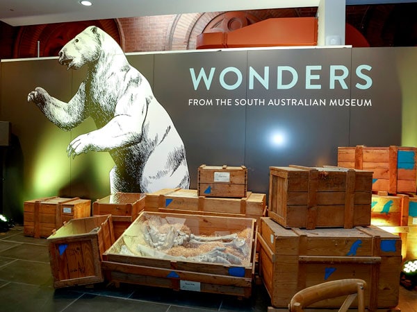 Wonders, South Australian Museum