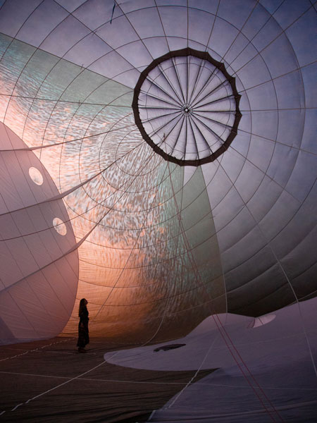 Patricia Piccinini: Skywhales