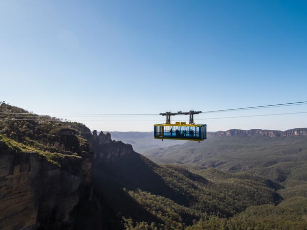 Ride the Scenic Railway