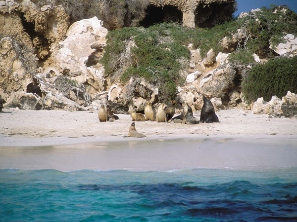 Cervantes/Jurien Bay