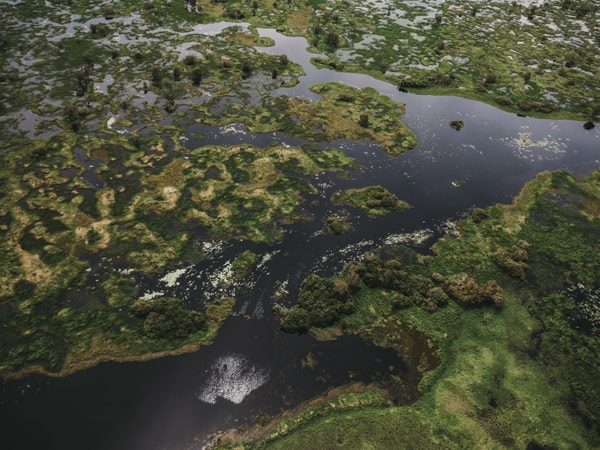 wetlands of Mary River