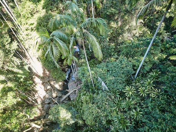 Tamborine National Park