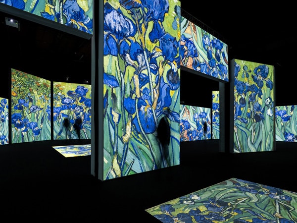 Van Gogh Alive