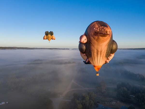 Patricia Piccinini: Skywhalepapa, 2020; National Gallery of Australia, Canberra