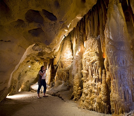 Princess Margaret Rose Cave, Vic