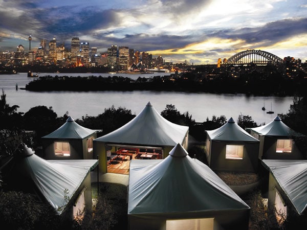 Roar and Snore at Taronga